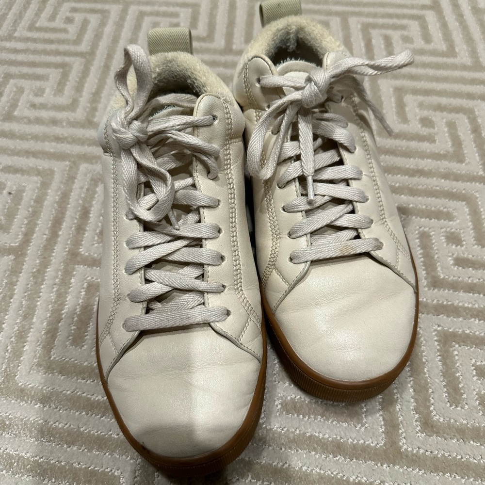 Bottega veneta sneakers in good condition